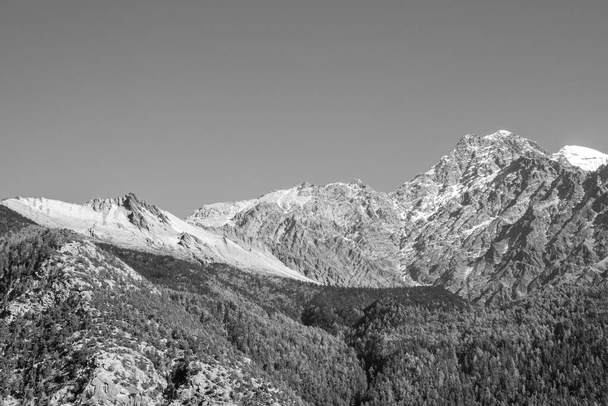 Krásné borovice pokryté kopce se zasněženými vrcholy Himalájí v Nepálu v pozadí. - Fotografie, Obrázek