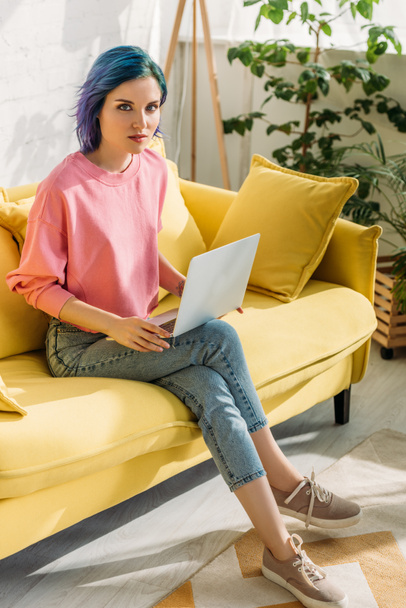 Freelancer with colorful hair and laptop looking at camera and sitting on sofa with crossed legs in living room - Foto, immagini