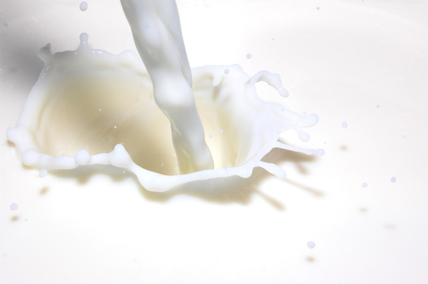 Splashing milk - Valokuva, kuva