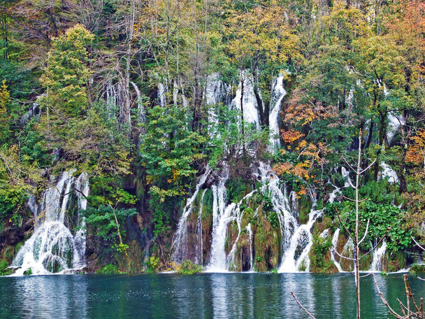 Tájkép és környezet Plitvicei-tavak Nemzeti Park vagy nacionalni park Plitvicka jezera, UNESCO természeti világörökség - Plitvica, Horvátország - Fotó, kép
