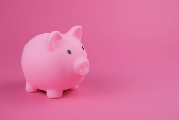 Pink piggy bank on the pink background.Concept of saving money, investment, banking or business services. - Foto, Bild