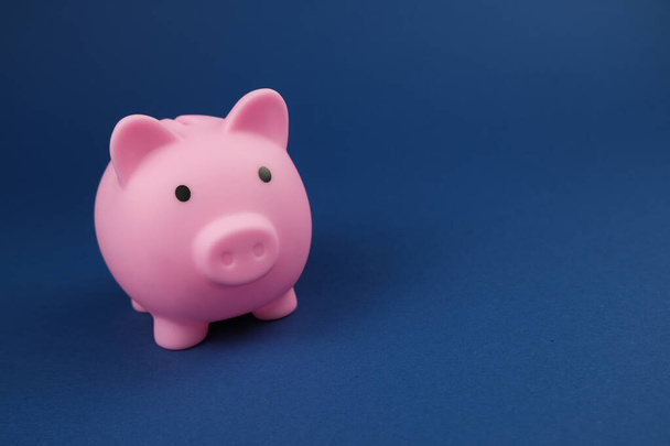 Pink piggy bank op de koninklijke blauwe achtergrond.Concept van het besparen van geld, investeringen, bankieren of zakelijke diensten - Foto, afbeelding
