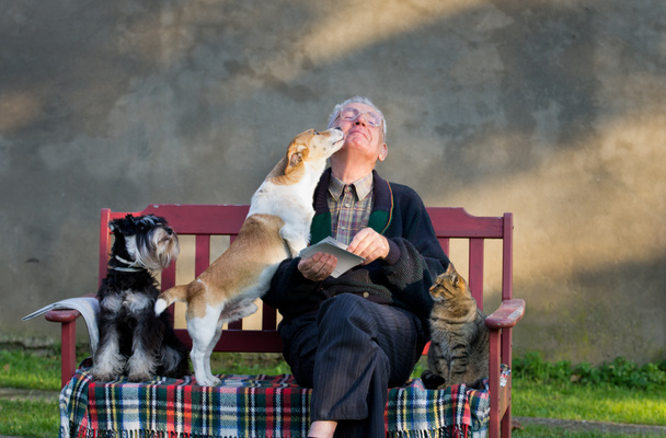 oude man met zijn huisdieren - Foto, afbeelding