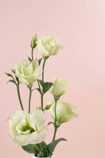Beautiful greeny white eustoma flowers bouquet on pink background close up - Foto, Imagen