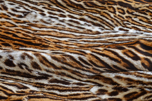 Leopard háttérmintázatot a szőrme - Fotó, kép