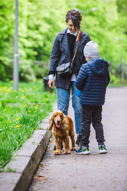молода жінка з маленькою дитиною і собакою на повідку, що йде в міському парку. коричневий кокер спанієль
 - Фото, зображення