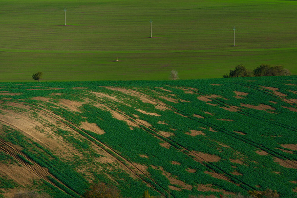 Morva tájak hullámos mezők gazdag színekkel - Fotó, kép