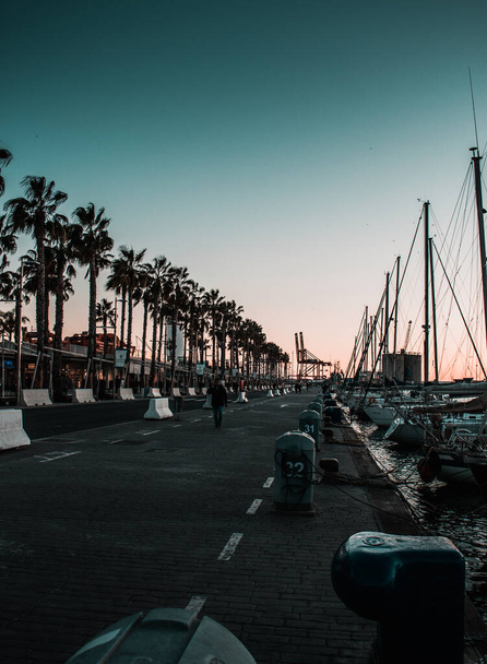 Palms tree's silhouette in the seaport of Malaga. - Fotoğraf, Görsel