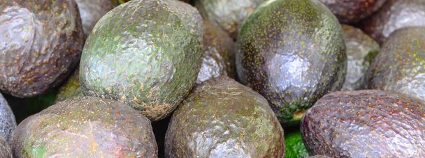 Панорама бачить купу стиглих і незрілих авокадо на фермерському ринку в Пуйаллупі, штат Вашингтон, Америка. Закрийте повний каркас свіжих вибраних і органічних авокадо.. - Фото, зображення