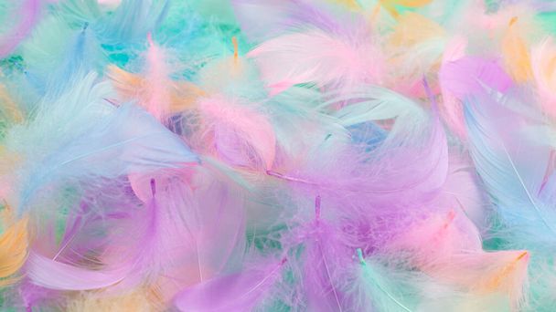 Colorful feather on mint background, top view.  - Photo, Image
