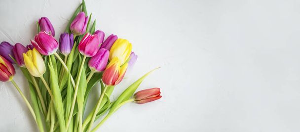 Spring tulips bouquet on white background with copy pace, spring greeting - Фото, изображение