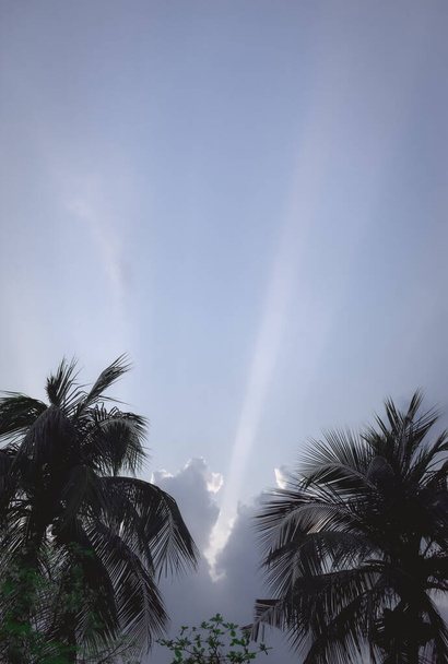 Kokosová palma Silueta zpět osvětlená dramatickou oblohou v době letního západu slunce. Tropické pláže Kanárské ostrovy atmosférické nálady. Soustřeď se na popředí. Krása v přírodě. Kopírovat místo na výše. - Fotografie, Obrázek