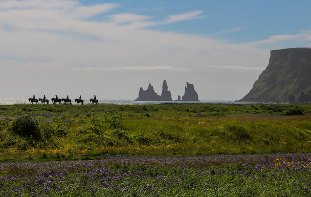 Верховая езда тур по Вику в Исландии
 - Фото, изображение