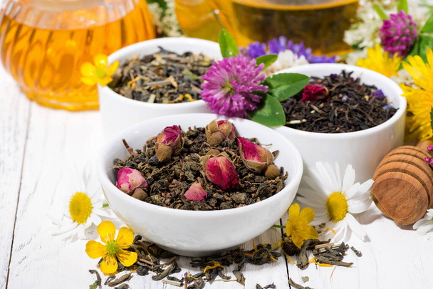 assortment of herbal tea on white background, horizontal - Photo, image