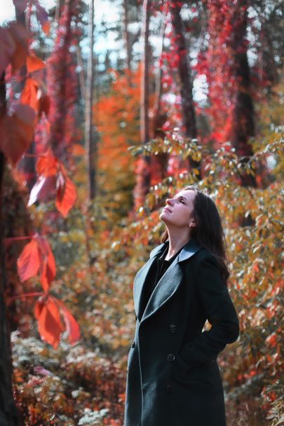krásná evropská žena v podzimním kabátě stojí uprostřed podzimního lesa uprostřed obrovských borovic - Fotografie, Obrázek