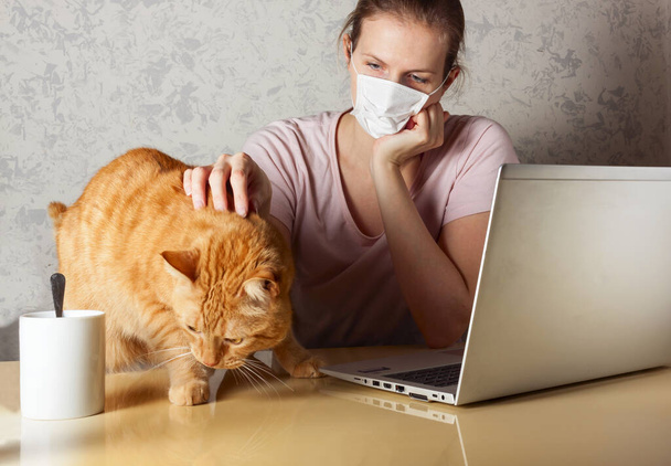 COVID-19 virüsü salgını sırasında evden çalışma. İnsanlar virüs enfeksiyonunu önlemek için evde çalışıyorlar. Mutfak masasında kedinin yanında çalışan bir kadın. - Fotoğraf, Görsel