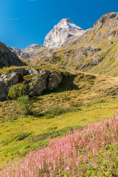 A Granta Parey oldala a Rhemes völgyében az Alpokban - Fotó, kép