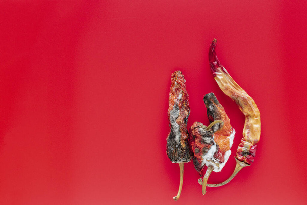 Rotten bitter pepper on a red background - Фото, зображення