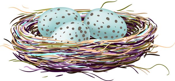 Bird's nest with robin eggs - Vector, Image