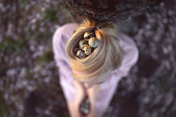 Quail eggs in a nest of hair, top view. - Photo, Image