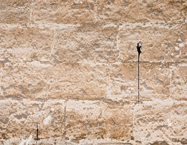 Mur de pierre ensoleillé. Mur médiéval de catedral à Palma de Majorque. Blocs de pierre exacts
. - Photo, image