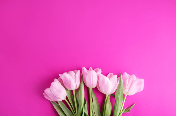 Un bellissimo banner rosa con un posto per il testo con tulipani rosa. Contenuto della pubblicità
. - Foto, immagini