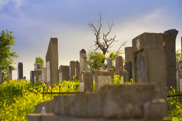 Давньоєврейське кладовище на яскравому заході сонця в Чернівцях Україна. - Фото, зображення
