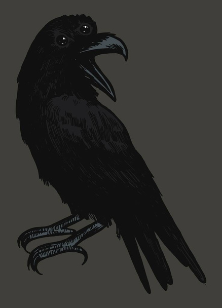Three eyed raven. Occult bird illustration. - Vector, Image