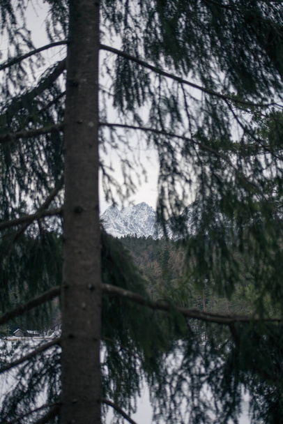 Wysokie góry alpejskie ze śniegiem w Niemczech i niebieskim pięknym sk - Zdjęcie, obraz