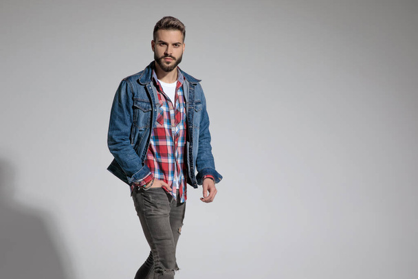 sexy casual man wearing denim jacket walking with one hand in pocket and looking at camera serious on gray studio background - Photo, Image