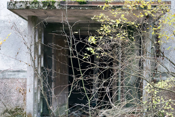 Old ruined house in Pripyat in Chernobyl - Foto, Bild