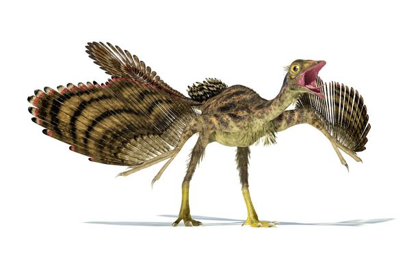 始祖鳥恐竜の写実的な表現. - 写真・画像