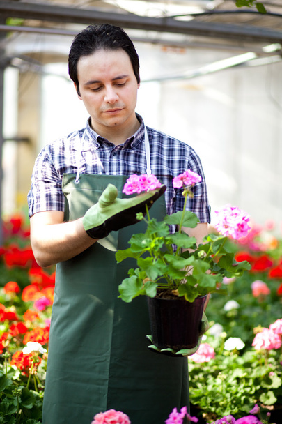 Gardener holding vase of flowers - Fotoğraf, Görsel