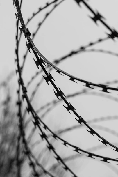 Monokróm fénykép a szögesdrót részleteiről. Acél határ. Börtön, katonai vagy karantén koncepció - Fotó, kép