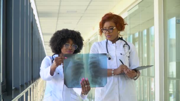 Dos doctores afroamericanos examinan la radiografía de los pulmones, sosteniéndola en las manos en el interior. Dos especialistas sostienen una imagen transparente del pecho en los brazos, y la investigan cuidadosamente
 - Metraje, vídeo
