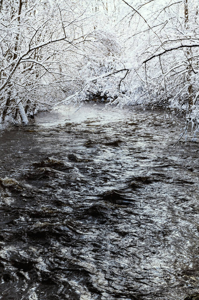 Χειμερινό τοπίο με το ποτάμι Vizla διέρχεται από το χιονισμένο δάσος. - Φωτογραφία, εικόνα