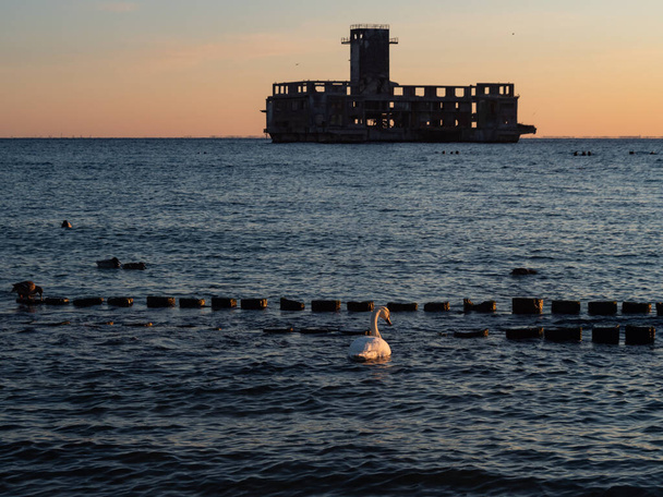 Torpedo station, ruïnes van de Tweede Wereldoorlog bij zonsopgang. Twee witte zwanen zwemmen dicht bij de kust. Gdynia, Oostzee, Polen - Foto, afbeelding
