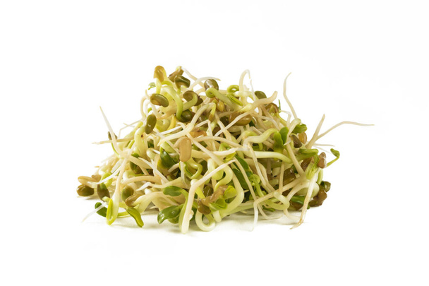 radish sprouts heap isolated on white background. nutrition. bio. natural food ingredient. - Photo, Image