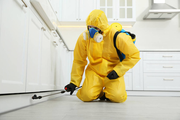 Pest control worker in protective suit spraying insecticide on furniture indoors - Foto, Imagen