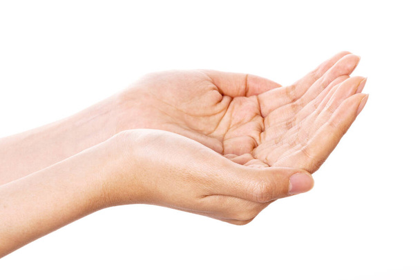 gesto mão mulher (dar, receber, compartilhar) isolado em branco
. - Foto, Imagem