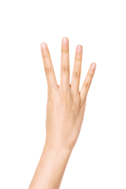 gesto de la mano de la mujer (número 4) aislado en blanco
. - Foto, imagen