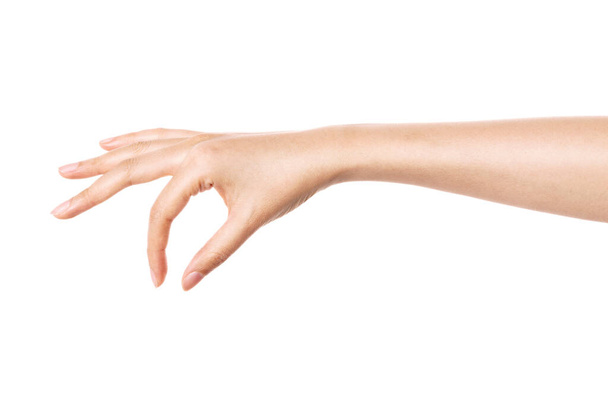 vrouw hand gebaar (hold, pick, maatregel, schatting) geïsoleerd op wit. - Foto, afbeelding