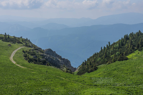 verde prato alpino e sentiero escursionistico in montagna ed estate
 - Foto, immagini