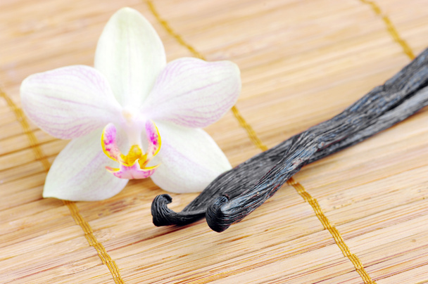 orchidej s Vanilkové lusky na podložce - Fotografie, Obrázek