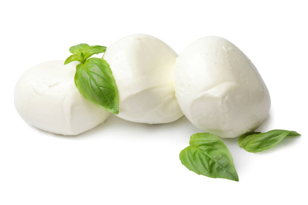 Mozzarella sajt bazsalikommal fehér alapon - Fotó, kép
