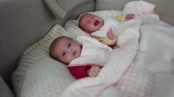 Zwei Schwestern liegen auf dem Bett. Zwei Babyzwillinge auf dem Bett, einer weint. - Filmmaterial, Video