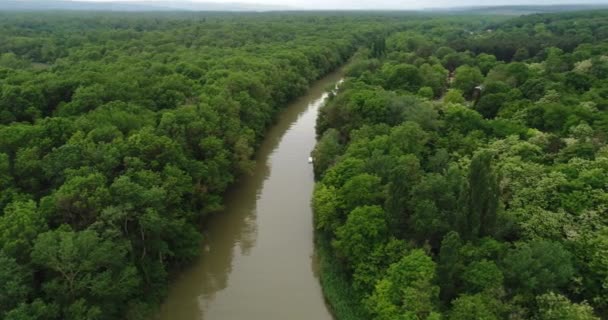 4K Légi kilátás folyó és gyönyörű erdő. Kamchia folyó Bulgáriában - Felvétel, videó