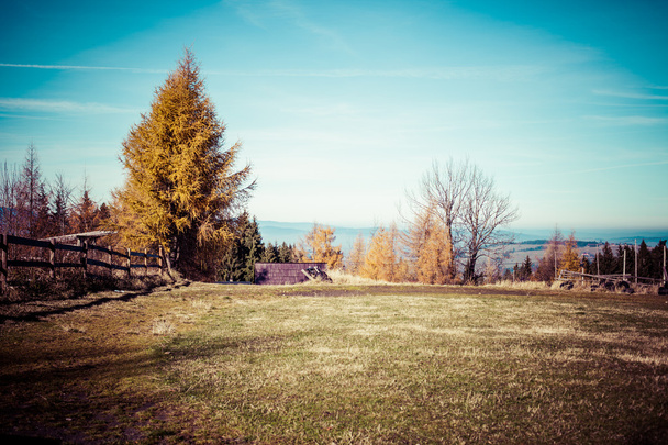 Зелена долина у підніжжя гір Високі Татри у місті Закопане, Польща. - Фото, зображення