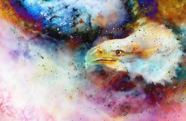 collage avec tête d'aigle et ornements sur fond abstrait multicolore
 - Photo, image
