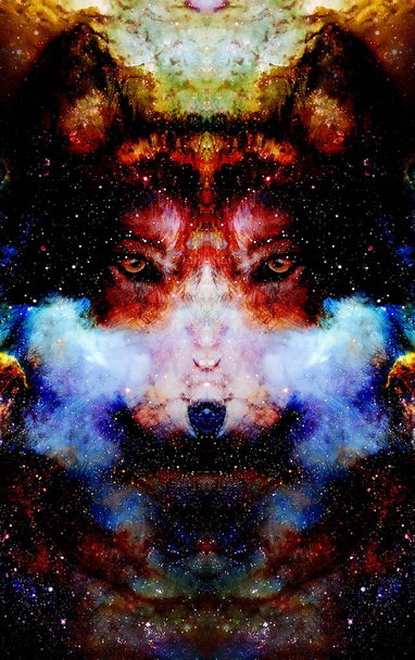 Волк-волшебник, многоцветный компьютерный графический коллаж. - Фото, изображение